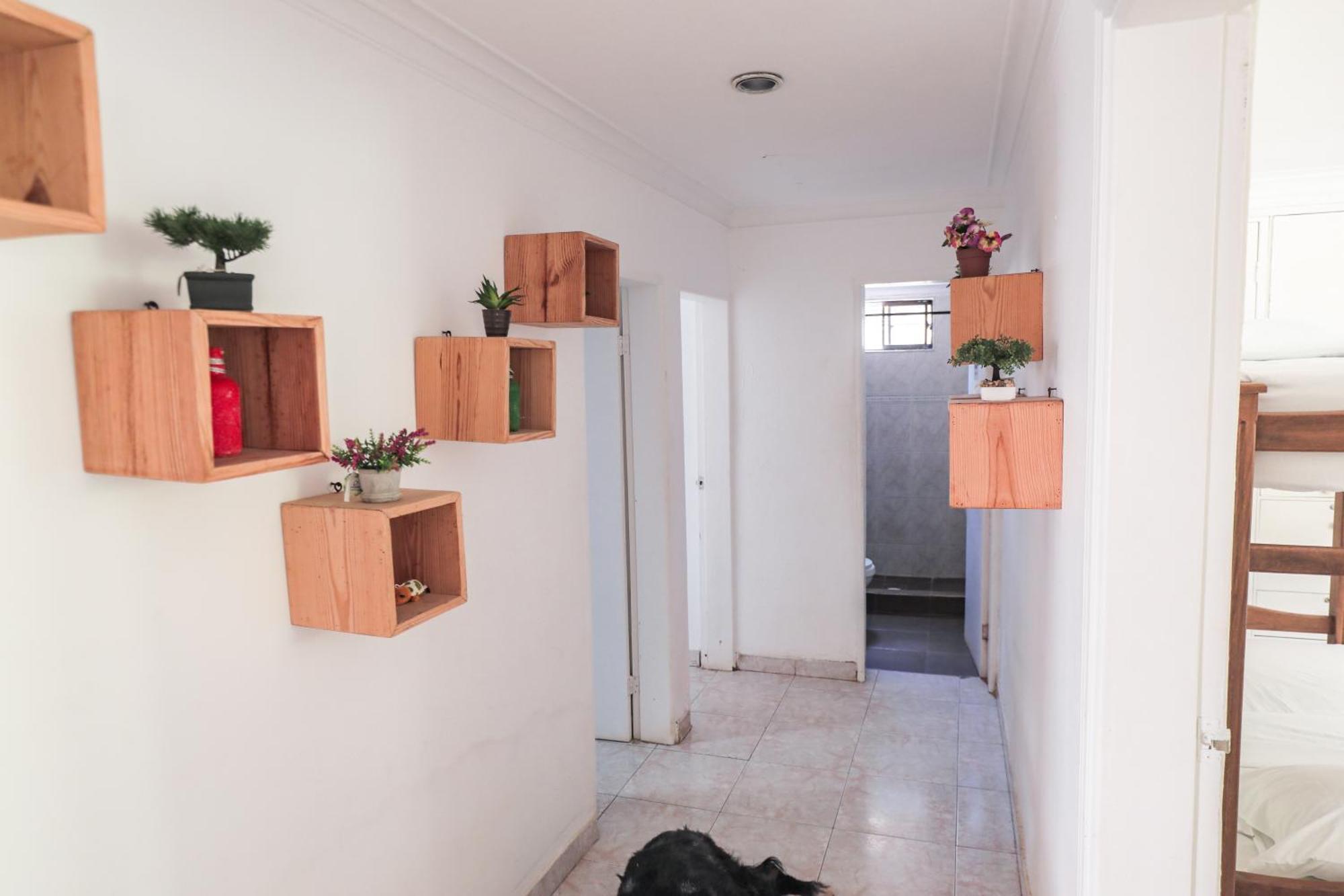 Hostal Palo Alto San Andrés Exteriör bild